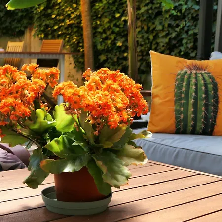 Apartamento Superbe T3- Two Bedrooms With Garden And Petanque! Perfect Spot!