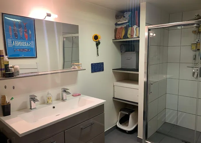 Superbe T3- Two Bedrooms With Garden And Petanque! Perfect Spot! * Bordeaux