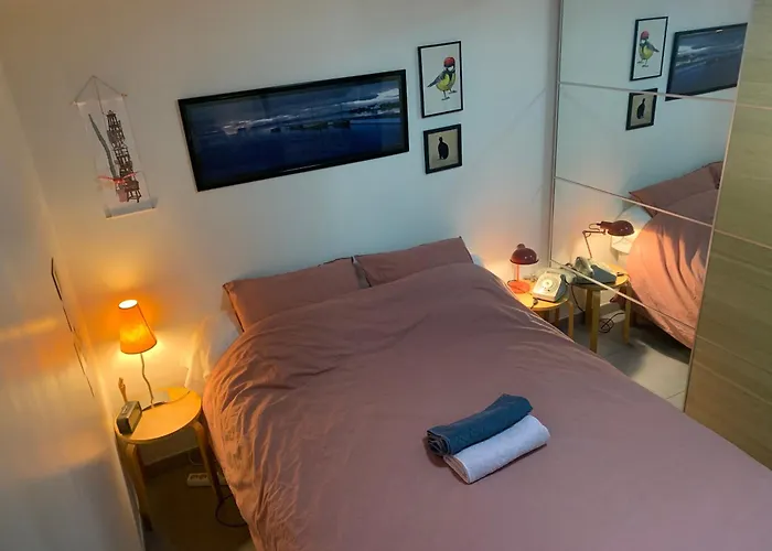 Lejlighed Superbe T3- Two Bedrooms With Garden And Petanque! Perfect Spot! *